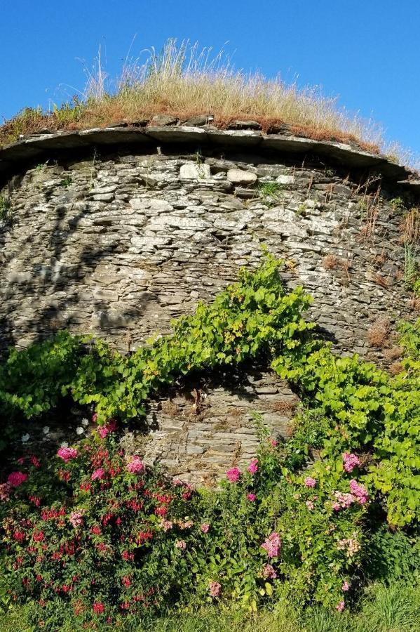 Chambre D'Hotes De La Gaudinais Ploërmel المظهر الخارجي الصورة